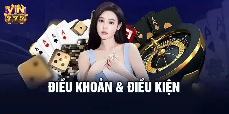 Giới thiệu về điều khoản điều kiện 